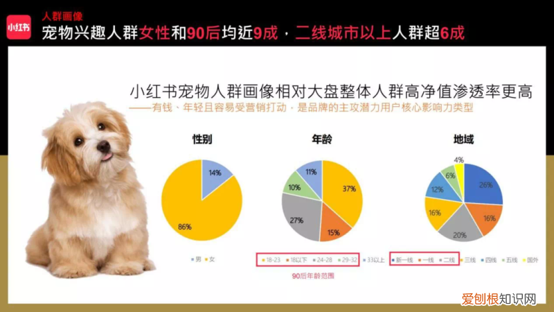 小红书做宠物账号怎么样赚钱，账号拆解｜小红书萌宠博主粉丝量15万+宠物账号如何快速涨粉变现