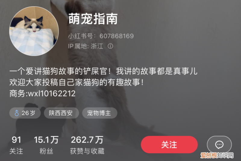 小红书做宠物账号怎么样赚钱，账号拆解｜小红书萌宠博主粉丝量15万+宠物账号如何快速涨粉变现