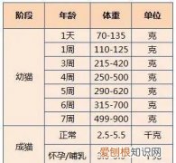 中华田园猫正常的体重范围 中华田园猫体重年龄对照表