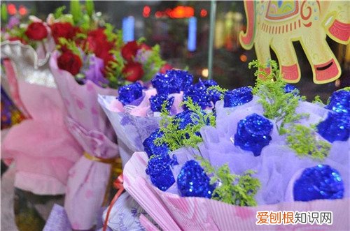 蓝色妖姬花语是什么 蓝色妖姬多少钱一朵