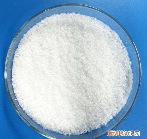 七彩圣诞树自制步骤 怎么让圣诞树开花