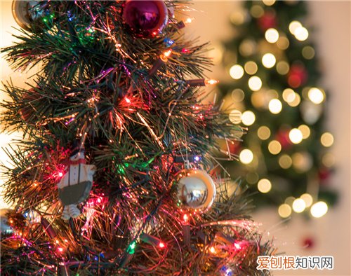 七彩圣诞树自制步骤 怎么让圣诞树开花