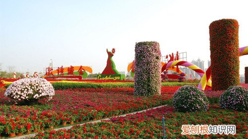 花城是哪个城市 花城是怎么得名的