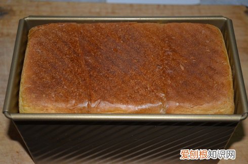 如何用面包机揉面 面包机有什么作用