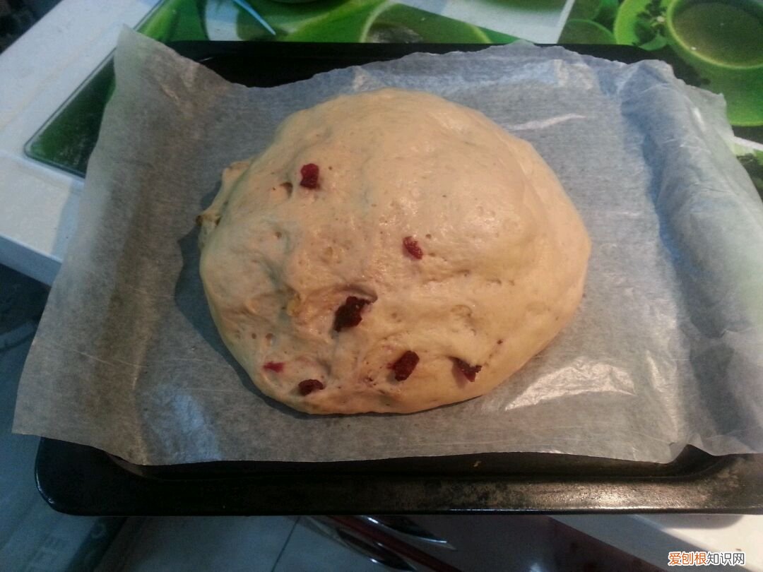 如何用面包机揉面 面包机有什么作用