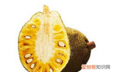 菠萝蜜的种子可以吃，波罗蜜中的籽可以吃吗