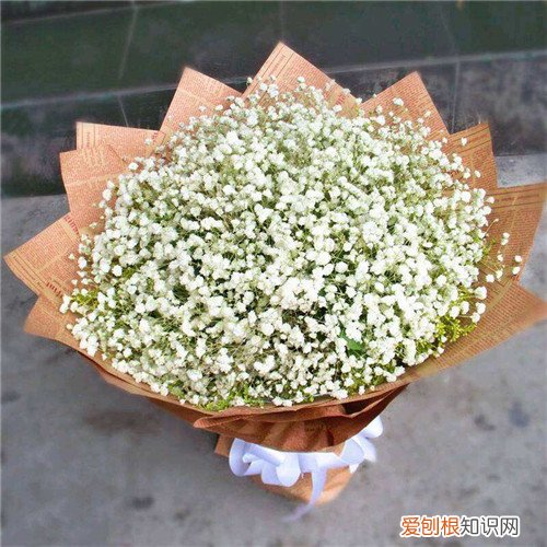 送满天星代表什么意思 满天星一般多少钱一束
