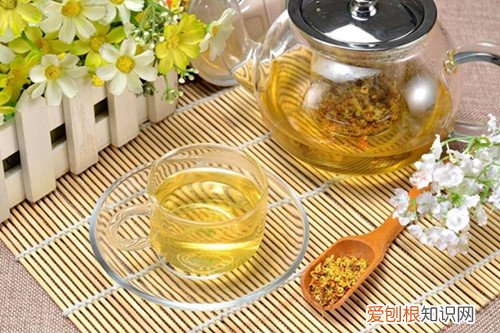 桂花产地在哪喝桂花茶可以美容吗