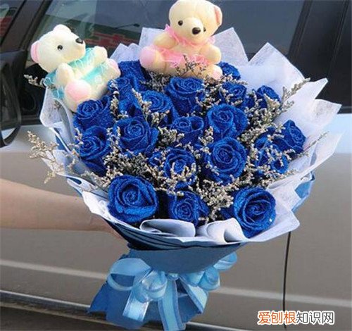 蓝色妖姬花语 蓝色妖姬是什么花