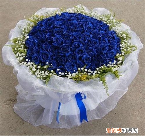 蓝色妖姬花语 蓝色妖姬是什么花