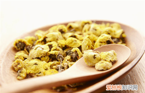康乃馨花茶的功效与制作方法 康乃馨花茶的饮用方法