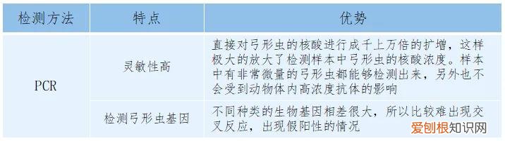 宠物得弓形虫，[宠物知识科普]《人畜共患之弓形虫病》