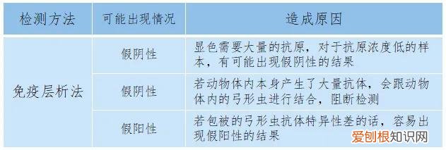 宠物得弓形虫，[宠物知识科普]《人畜共患之弓形虫病》