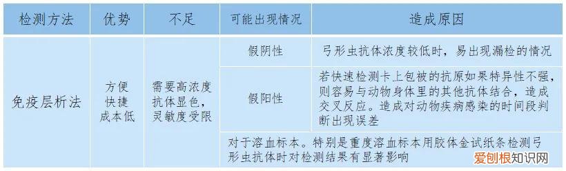宠物得弓形虫，[宠物知识科普]《人畜共患之弓形虫病》