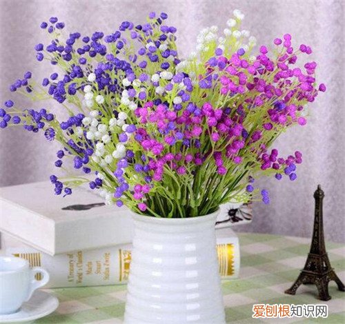 满天星花的花语是什么 满天星花怎么养护