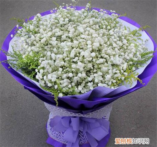 满天星花的花语是什么 满天星花怎么养护
