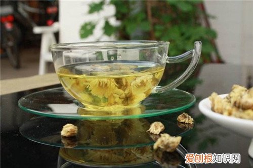 菊花茶变绿了还能喝吗 菊花茶泡久了会变绿是怎么回事