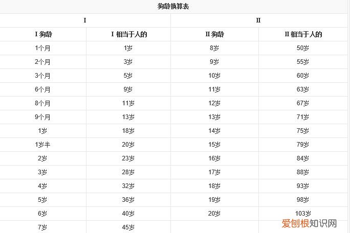 狗狗6岁相当于人多少岁 狗6岁相当于人多少岁