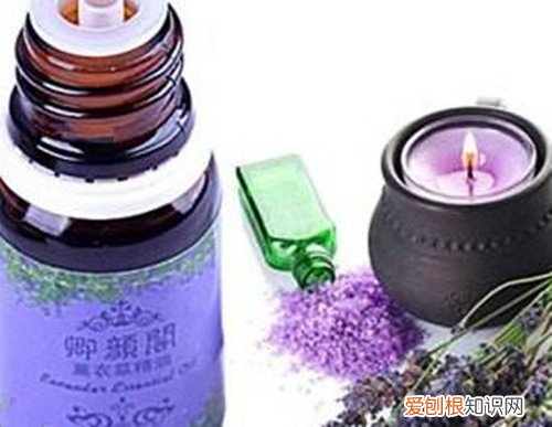 薰衣草精油的作用有哪些 薰衣草精油如何使用