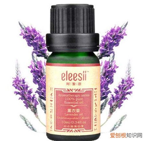 薰衣草精油的作用有哪些 薰衣草精油如何使用