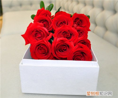 12朵玫瑰花语是什么情人节送多少朵玫瑰为佳