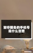 电信号码暂停服务什么意思