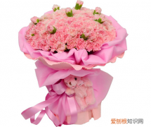 康乃馨花语是什么康乃馨代表什么意思
