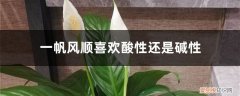 一帆风顺适合在什么环境下生长 一帆风顺喜欢酸性还是碱性，一帆风顺能在北方养吗