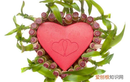 富贵竹叶子黄了怎么办教你几招轻松应对叶黄现象