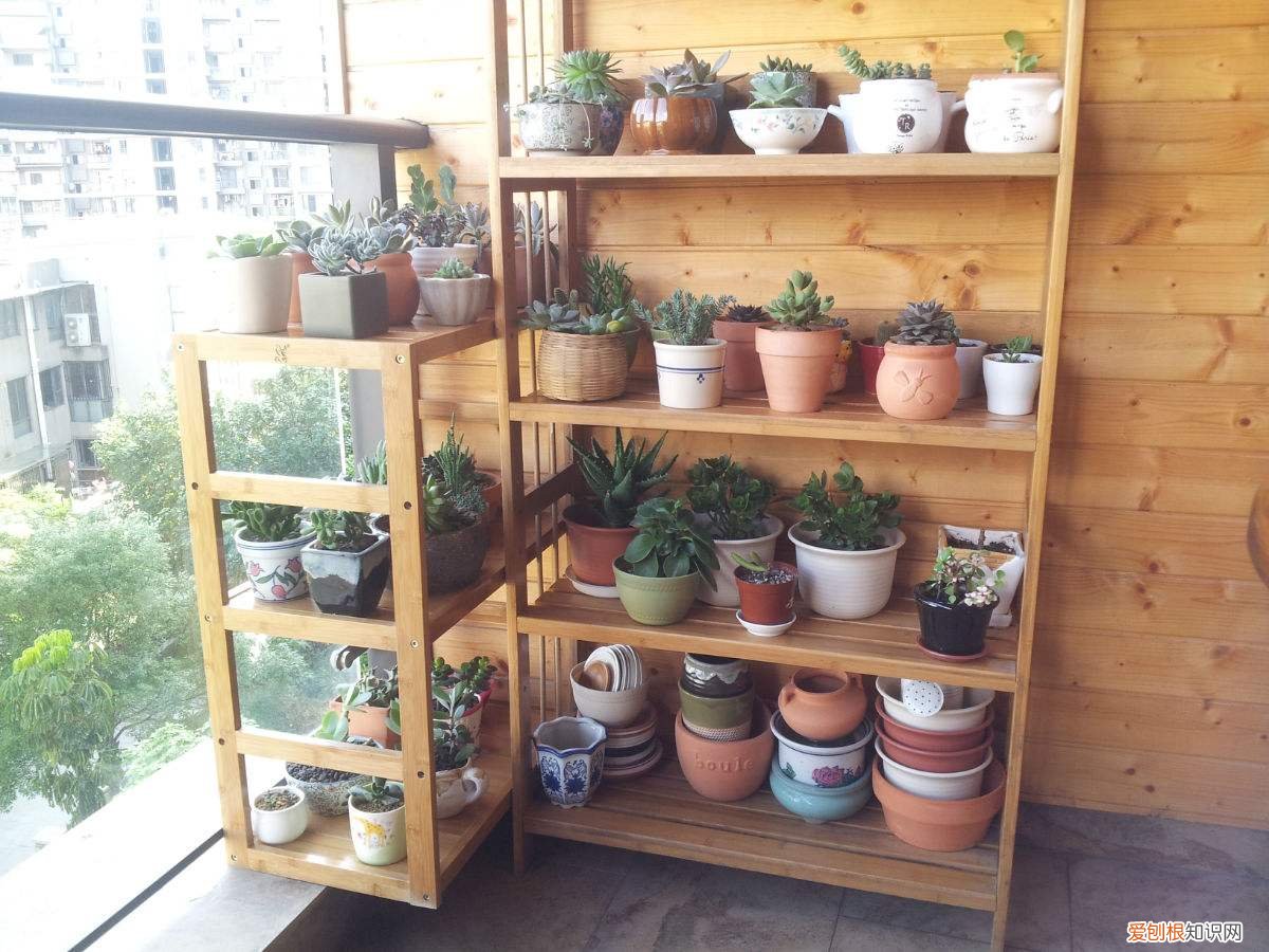 花架尺寸是多少 花架的选购技巧