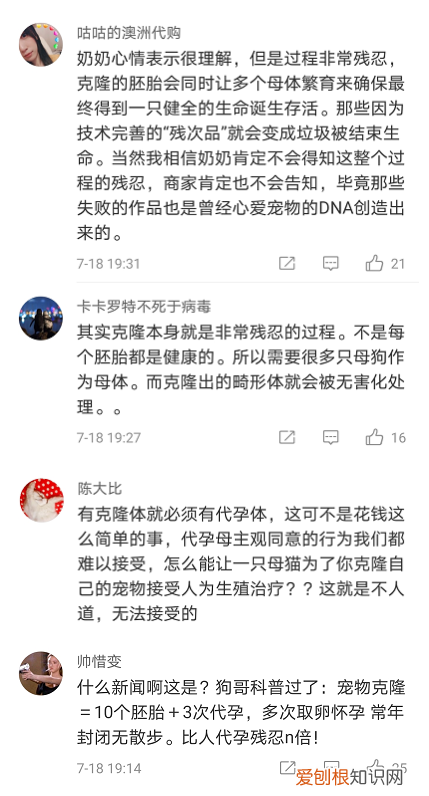上海奶奶花18万克隆重病的爱犬，仅外貌相似