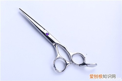 理发工具大全有哪些一起来看看！