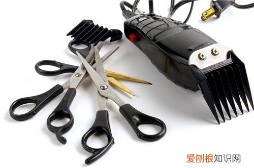 理发工具大全有哪些一起来看看！