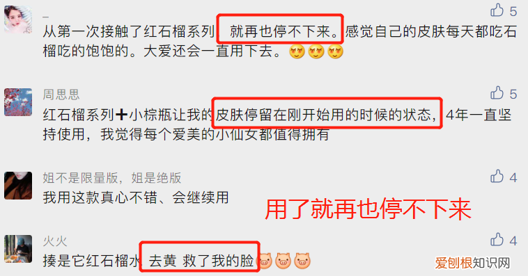 雅诗兰黛红石榴 系列