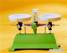 天平秤知识介绍 天平秤价格贵不贵