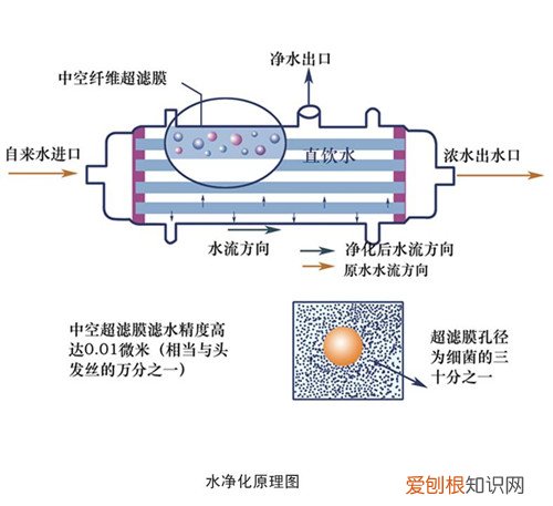水净化的方法及优缺点有哪些，水净化有什么好处和不好