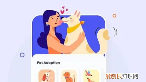 开宠物店的可行性有哪些,为什么要开发宠物门店小程序?开发宠物门店小程序有什么优势?