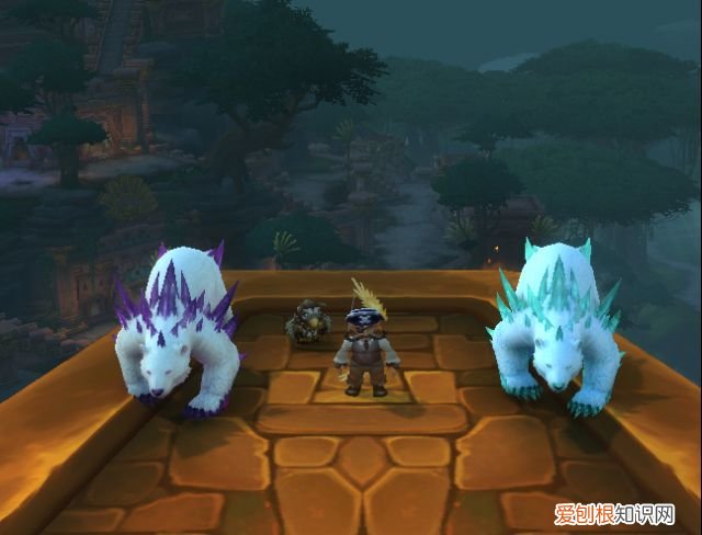 魔兽世界白熊哪里抓 魔兽世界绿色雪暴熊怎么抓