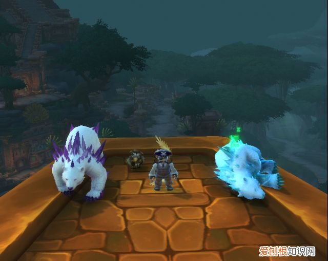 魔兽世界白熊哪里抓 魔兽世界绿色雪暴熊怎么抓
