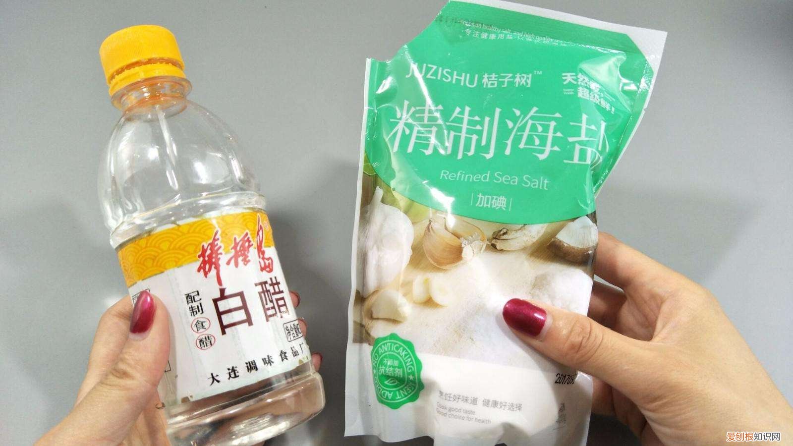 怎么能去除家里的猫骚味 猫骚味怎么消除