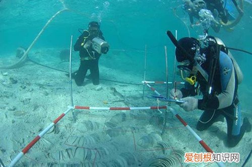 水下呼吸器怎么用 水下呼吸器品牌及生产厂家推荐