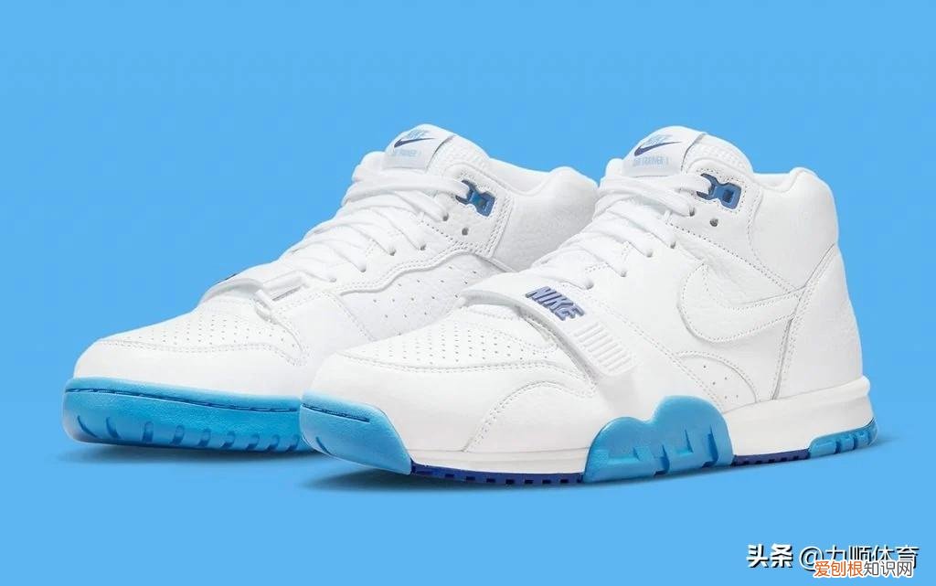 Nike Air Trainer 1
