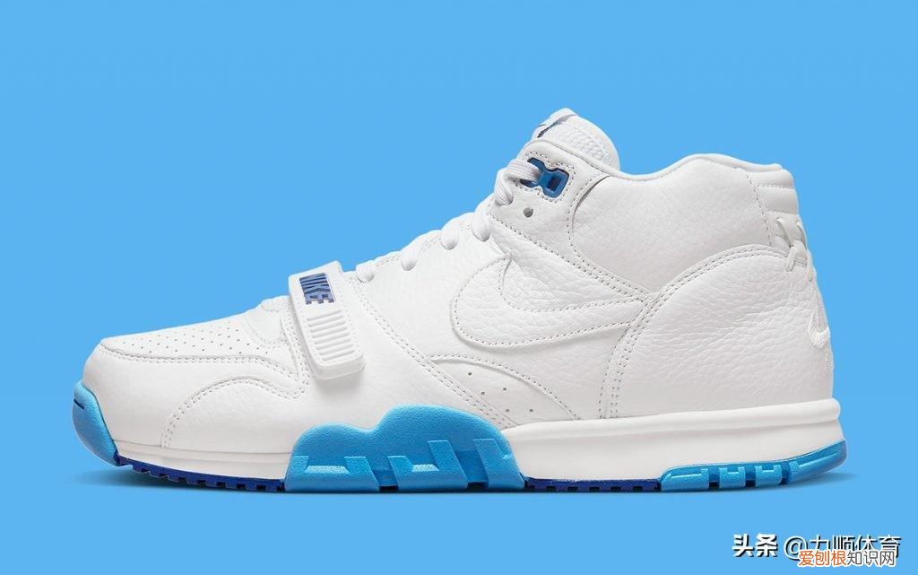 Nike Air Trainer 1