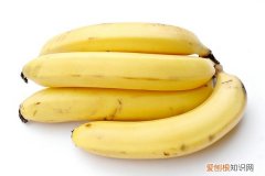 猫咪能否吃香蕉 猫咪能不能吃香蕉，猫