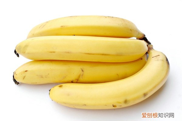 猫咪能否吃香蕉 猫咪能不能吃香蕉，猫