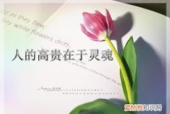 与灵魂共舞的歌的含义，与你的灵魂共舞歌词含义