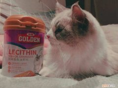 鱼油猫咪一星期吃多少 猫咪鱼油一周喂多少