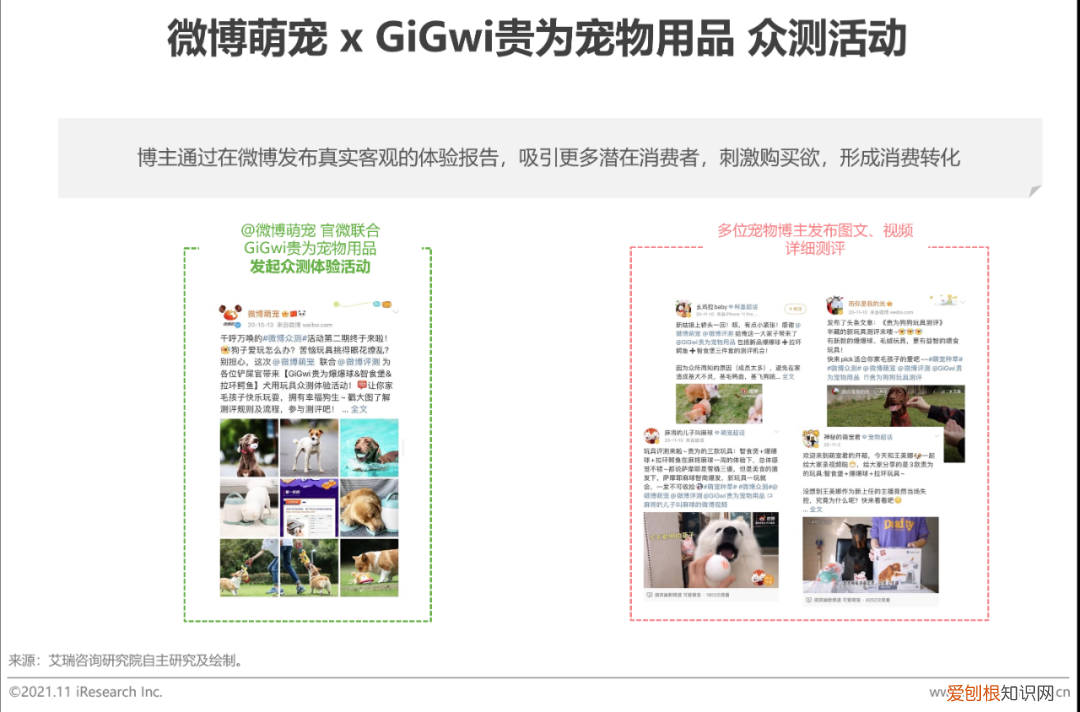 宠物行业发展白皮书怎么写，2021年中国宠物内容价值研究白皮书