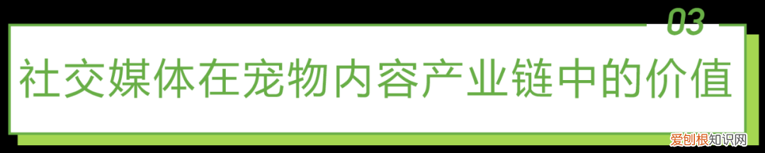 宠物行业发展白皮书怎么写，2021年中国宠物内容价值研究白皮书
