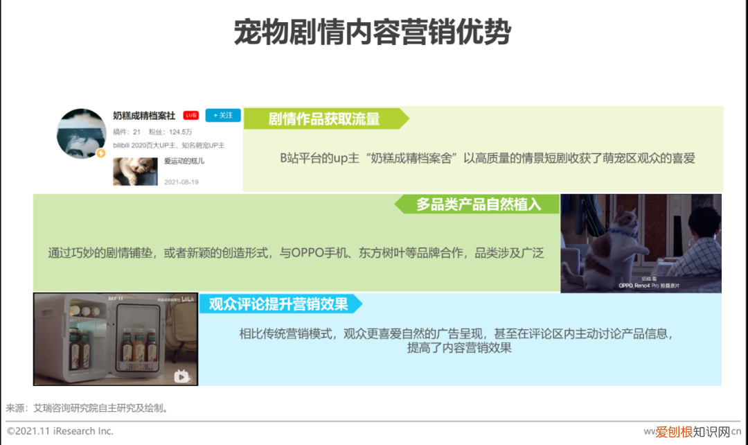 宠物行业发展白皮书怎么写，2021年中国宠物内容价值研究白皮书